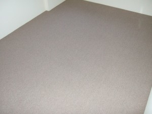 dscf2391