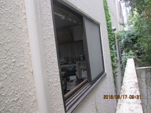 img_48841